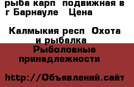 рыба карп2 подвижная в г.Барнауле › Цена ­ 1 450 - Калмыкия респ. Охота и рыбалка » Рыболовные принадлежности   